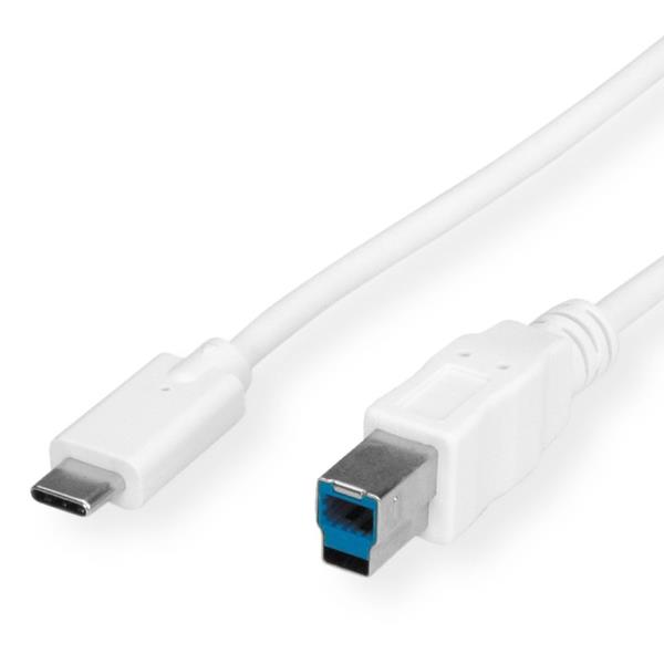 Nilox CAVO USB C-B M/M MT.1 80