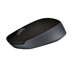 Logitech M170